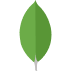 Description of the image